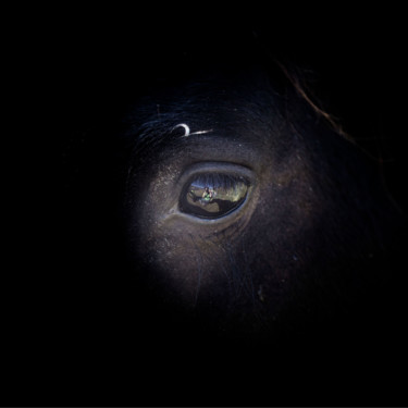Photographie intitulée "Œil miroir" par Isabelle Pautrot, Œuvre d'art originale, Photographie numérique