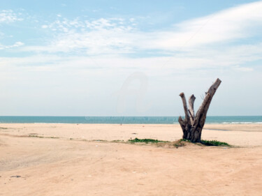 Photographie intitulée "LA PLAGE" par Jean-Marc Philippe (Jimpy), Œuvre d'art originale, Photographie numérique