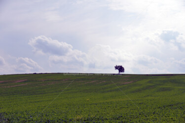 SOLITUDE