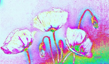 Arts numériques intitulée "Fantaisie de coquel…" par Marian Cobos, Œuvre d'art originale
