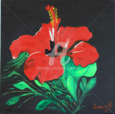 Une fleur rouge d'hibiscus.jpg
