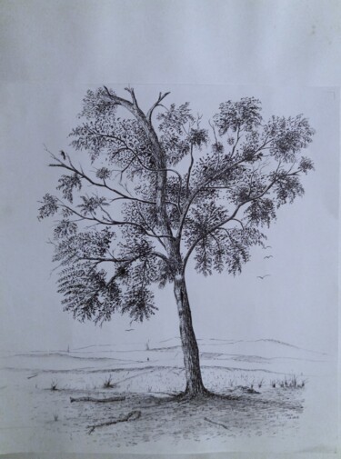 Dessin intitulée "Le bouleau" par Charles Corbin, Œuvre d'art originale, Encre