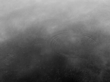 Une Goutte de Pluie.......... Photographie intitulée "Une Goutte de Pluie…" par Philippe Berthier, Œuvre d'art originale, Photographie numérique