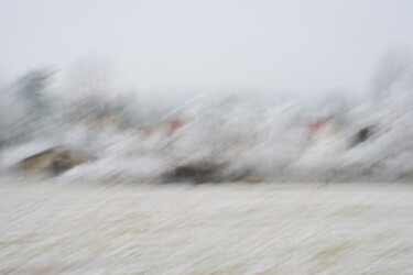 Photographie intitulée "Le loup est-il dans…" par Olive, Œuvre d'art originale, Photographie numérique