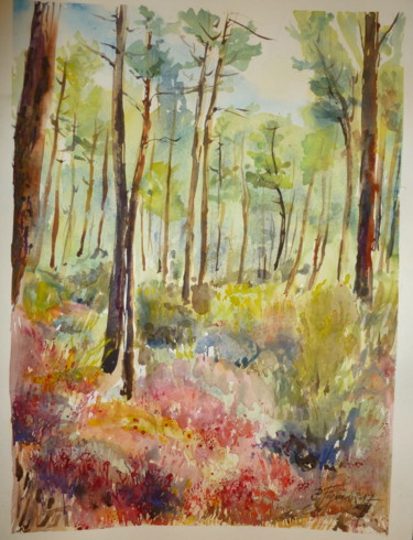 Peinture intitulée "Champ de bruyères d…" par Pierre Feyeux, Œuvre d'art originale, Aquarelle