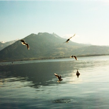 Photographie intitulée "Lac d'Annecy" par Clément Bourgeois, Œuvre d'art originale