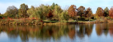Fotografía titulada "Willow Tree Panorama" por Llewellyn Berry, Obra de arte original, Fotografía digital