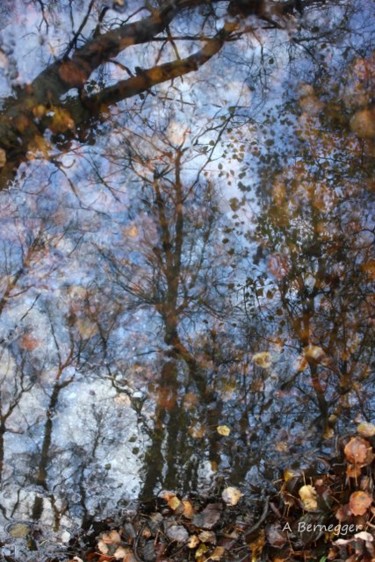 Installation intitulée "Reflet et feuilles" par Alain Bernegger, Œuvre d'art originale