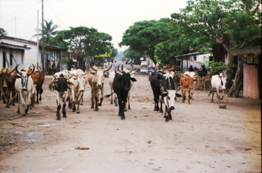 Dans une rue du vieux bassam