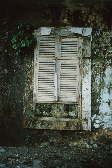 Vieux volets