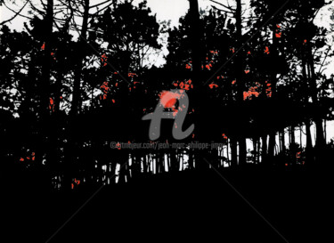 L'APPEL DE LA FORÊT