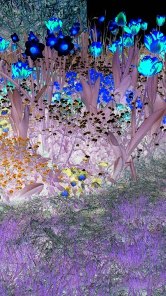 摄影 标题为“Fleurs du sommeil o…” 由Béatrice Marie Penaud, 原创艺术品