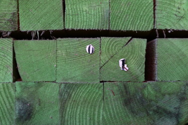 Photography titled "Volée de bois vert…" by Jacques Jégo, Original Artwork