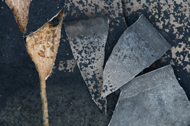Photography titled "Bris associés - img…" by Jacques Jégo, Original Artwork