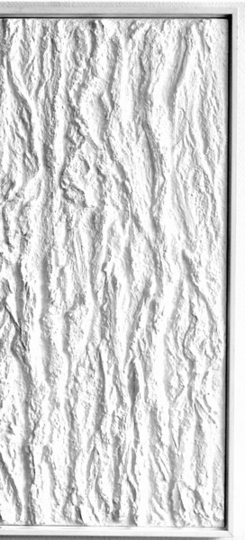 White Bark - nr.28 绘画 标题为“White Bark - nr.28” 由Henk Broeke, 原创艺术品, 丙烯 安装在木板上