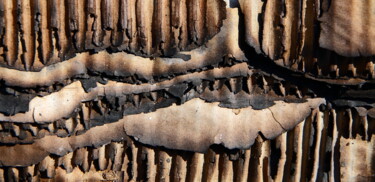 Photography titled "Ondes brûlées - img…" by Jacques Jégo, Original Artwork