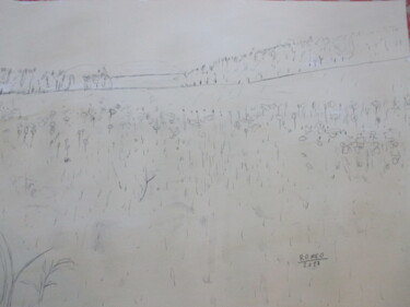 Desenho intitulada "CAMPO DE TRIGO" por Romeo Zanchett, Obras de arte originais, Outro