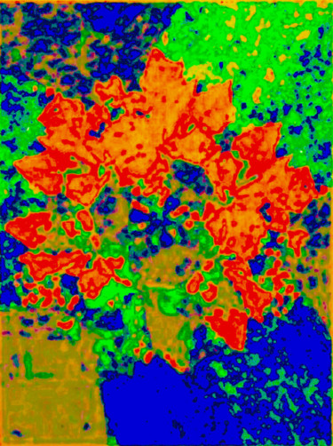 Flora