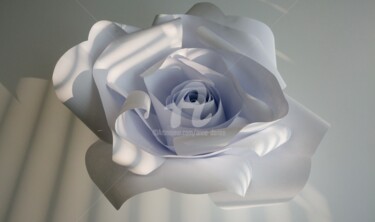 Rose de papier et de lumière