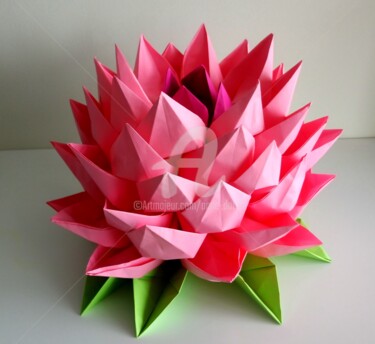 Lotus géante