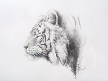 Tigre Mahawak Dessin intitulée "Tigre Mahawak" par Thierry Mordant, Œuvre d'art originale, Crayon