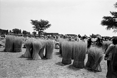 Marché de Baleyara au Niger
