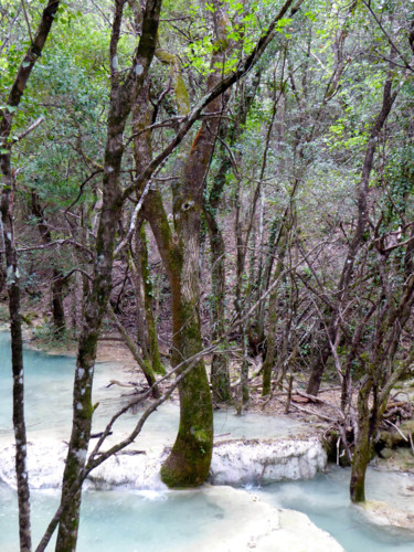 Photographie intitulée "Sources de l'Huveau…" par Jean Paul Rosso, Œuvre d'art originale