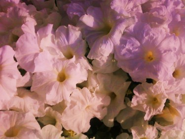 Photography titled "Blooms on the Rise" by William Menzel, Original Artwork