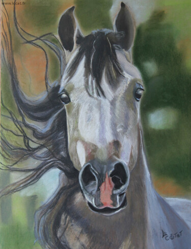 Peinture intitulée "Cheval" par Catherine Costet (Lccat), Œuvre d'art originale, Pastel