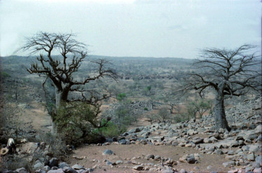 Descente des falaises de Bandiagara au Mali