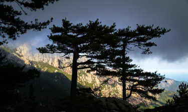 Photographie intitulée "Bavella" par Isabelle Pautrot, Œuvre d'art originale