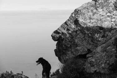 Photographie intitulée "Les gardiens" par Isabelle Pautrot, Œuvre d'art originale