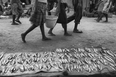 Pesce al mercato