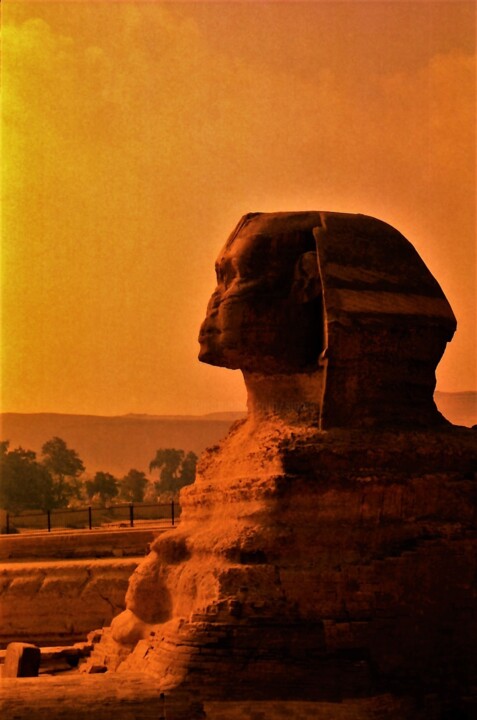 sphinx im morgenlicht...