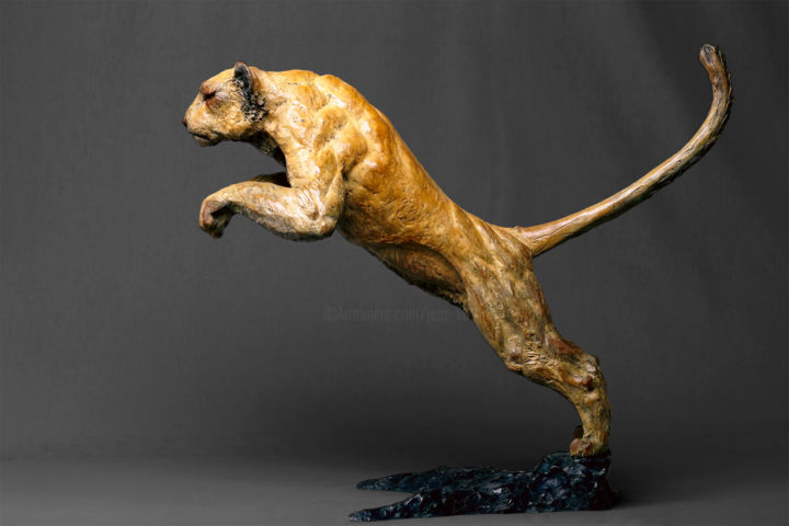 Sculptuur getiteld "okavango" door Vassil, Origineel Kunstwerk, Metalen