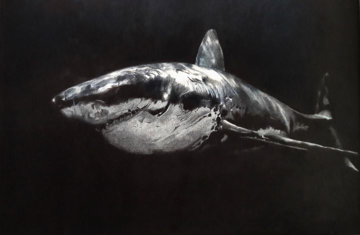Requin 图画, 31.5x55.1 in
