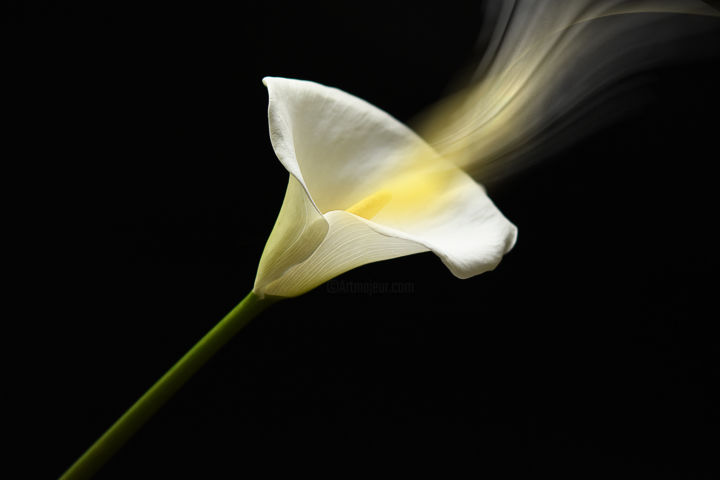 Photography titled "Le pouvoir de la lu…" by Lana Photography, Original Artwork