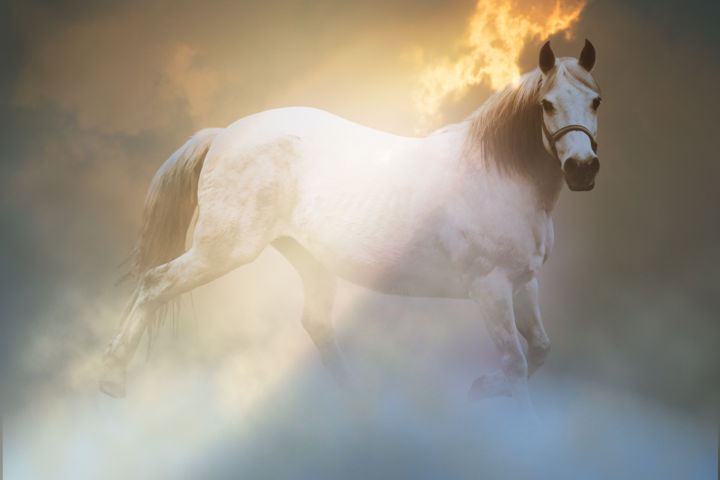 Photography titled "La grande aventure" by Lana Photography, Original Artwork