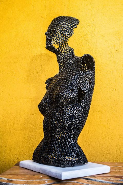 Sculpture titled "Protomi" by Arc N Scu, Original Artwork, Metals