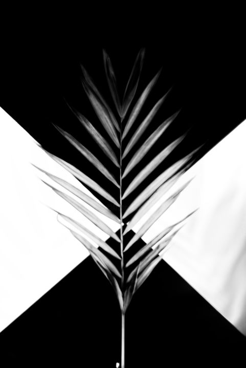 Photography titled "dsc9203.jpg" by Aleksandr Klimkin, Original Artwork