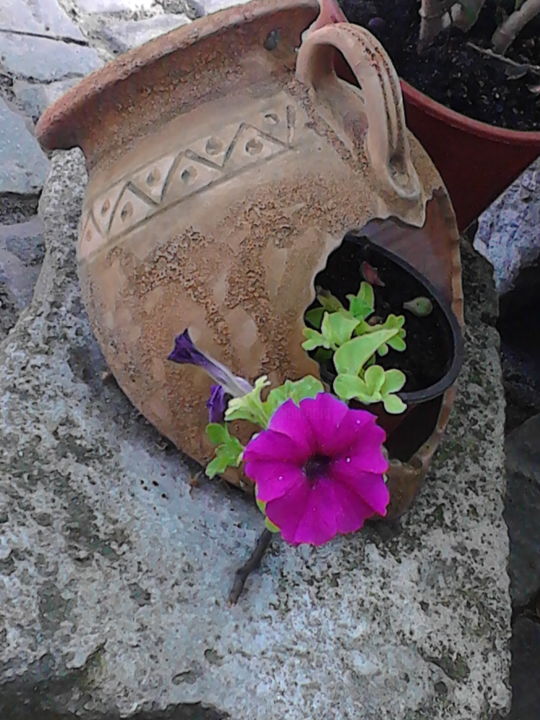 Photography titled "The broken pot /la…" by Iulia Georgiana, Original Artwork