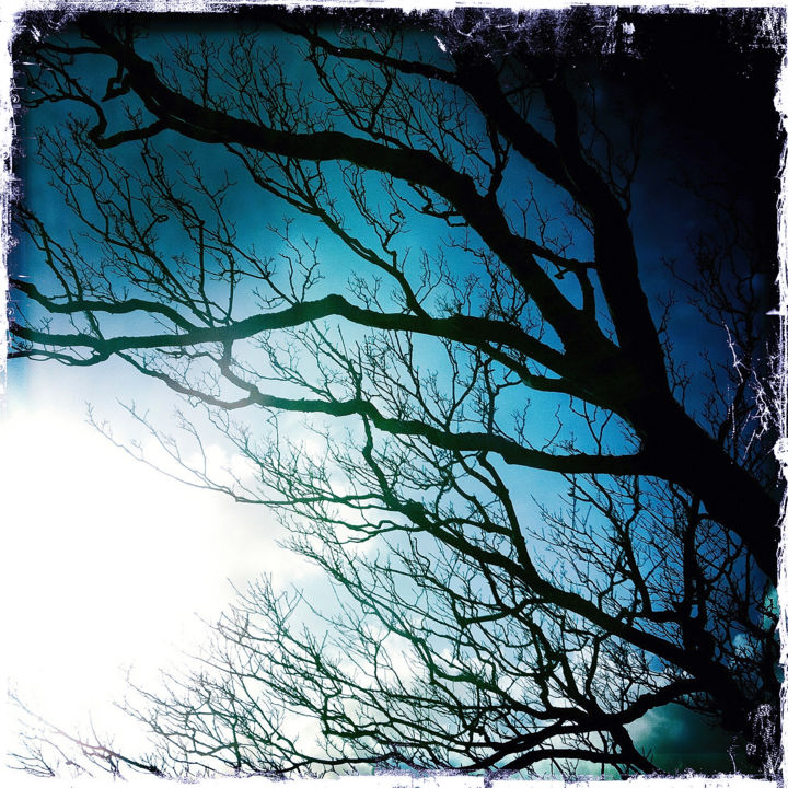 Fotografie getiteld "tree in Ireland1202…" door Daniel Richtman, Origineel Kunstwerk