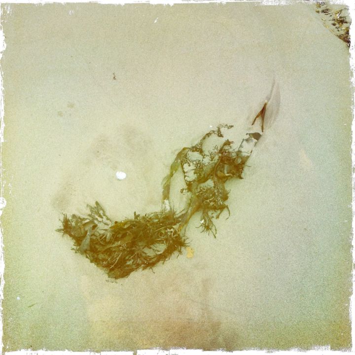 Fotografie getiteld "SEAWEED ON BEACH IN…" door Daniel Richtman, Origineel Kunstwerk