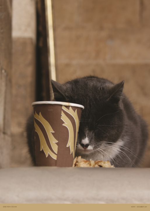 Fotografie getiteld "Cat living with Der…" door Deniz Reha Ozilhan, Origineel Kunstwerk