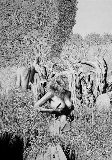 Dibujo titulada "Forest Nudity" por Maciej Gądor, Obra de arte original