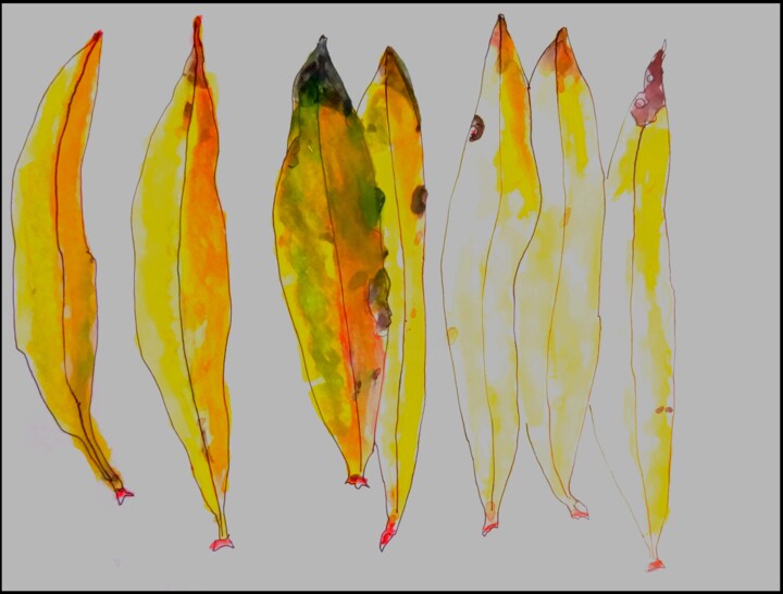 MA COLLECTION DE FEUILLES DE LAURIER ROSE... 绘画, 11.8x16.5 in