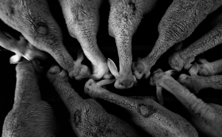 Photographie intitulée "nombres.jpg" par Youcef Sebaa, Œuvre d'art originale