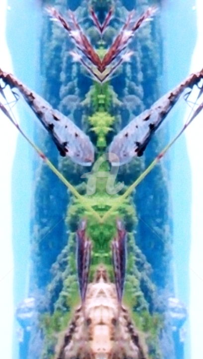 Photography titled "langouste.jpg" by Surréalisme & Couleurs, Original Artwork