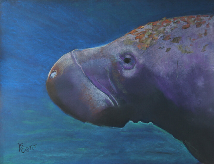Peinture intitulée "Le lamantin" par Catherine Costet (Lccat), Œuvre d'art originale, Pastel