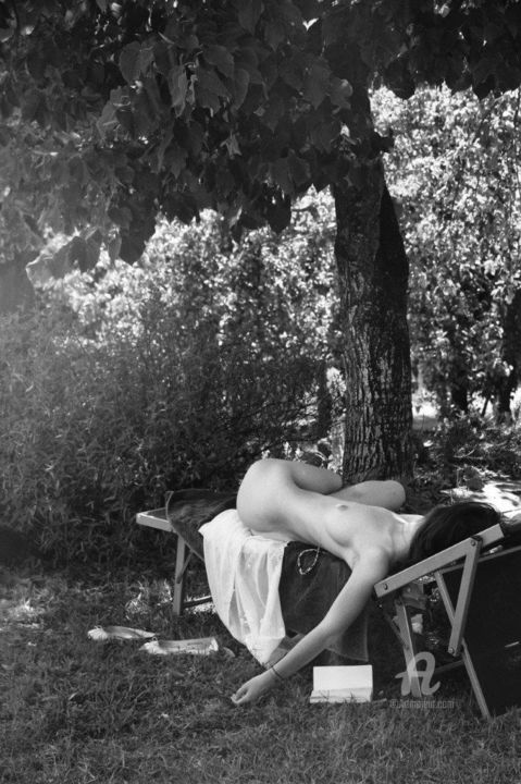 Photography titled "L'Envol" by Stéphane Arnoux, Original Artwork